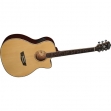 Washburn WG 25 SCE, Gran Auditorium,Cuerdas Metálicas con Equalizador Fishman Isys mas afinador, Acabado Brillante  (PRODUCTO AGOTADO)