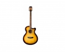 Washburn EA - 12 TS Samber, Electroacústica, Cuerdas Metálicas con Equalizador  Barcus Berry mas Afinador **