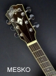  Washburn WD - 10 Folk Guitarra Electroacustica con Equalizador 7545 - 4 Bandas Cubierta Pino Abeto Solido Caja de Caoba Puente y Diapason de Palisandro **