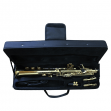 Saxo Soprano Allegro ALL 6433 L -  Afinado en SI bemol  Dorado Incluye Estuche, Kit de Limpieza