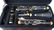 Clarinete  Allegro All 7201 -17 Llaves Afinación en SI bemol Bb Fabricado en Resina Ebonita, Mecanismo Niquelado, Incluye Paño de Limpieza y Lubricante