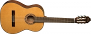 Washburn C - 40, Guitarra Clasica Cuerdas Nylon 19 Trastes # 28 B