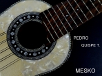 Pedro Quispe T. Charango Linea Profesional, Tallado Motivo Quirquincho, Incluye Funda  # 18 