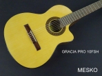 Gracia PRO 10 FSH  Guitarra Cuerdas Nylon Electroacústica con Equalizador Fishman Presys  (PRODUCTO AGOTADO)
