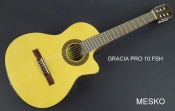 Gracia PRO 10 FSH  Guitarra Cuerdas Nylon Electroacústica con Equalizador Fishman Presys 