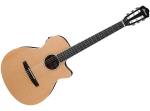 Ibanez AEG5ON NT, Guitarra Cuerdas Nylon con Equalizador Activo (PRODUCTO AGOTADO)