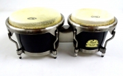 Bongo Pearl  PBF - 300 DX  Elite Series  de Fibra 7