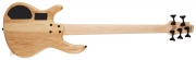Cort ACTION DLX V AS OPN - 5 Cuerdas Activo, Madera de Fresno, Incluye Funda # 10 (PRODUCTO AGOTADO) 