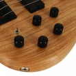 Cort ACTION DLX V AS OPN - 5 Cuerdas Activo, Madera de Fresno, Incluye Funda # 10 (PRODUCTO AGOTADO) 