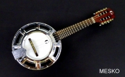 Banjo 8 Cuerdas G C R Instrumento de Alta Calidad Incluye Funda
