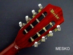 Banjo 8 Cuerdas G C R Instrumento de Alta Calidad Incluye Funda