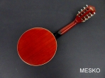 Banjo 8 Cuerdas G C R - Electroacústico  Instrumento de Alta Calidad Incluye Funda