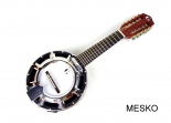 Banjo 10 Cuerdas G C R Instrumento de Alta Calidad Incluye Funda