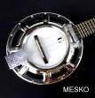 Banjo 10 Cuerdas G C R Electroacústico  Instrumento de Alta Calidad Incluye Funda