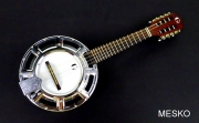 Banjo 12 Cuerdas G C R  Instrumento de Alta Calidad Incluye Funda