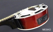 Banjo 12 Cuerdas G C R  Electroacústico Instrumento de Alta Calidad Incluye Funda