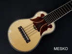 El Chasqui, Charango   Linea Profesional, Tapa Pino Abeto, Caja de Naranjillo, Puente y Diapasón de Jacarandá, Incluye Funda  # 3